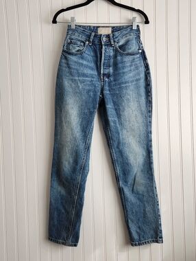 Everlane Blue Medium Wash Organic Curvy 90s Cheeky Straight Denim Jeans 24 R